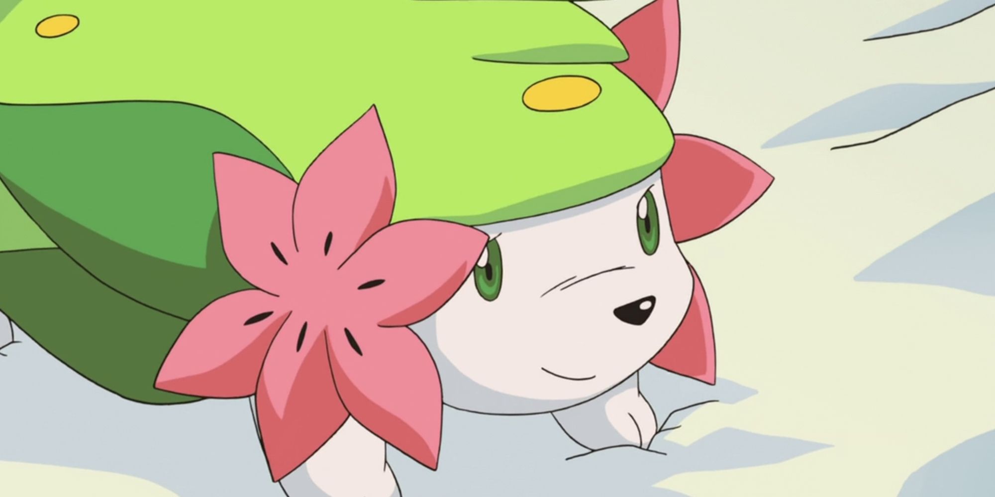 Shaymin In The Pokemon Anime