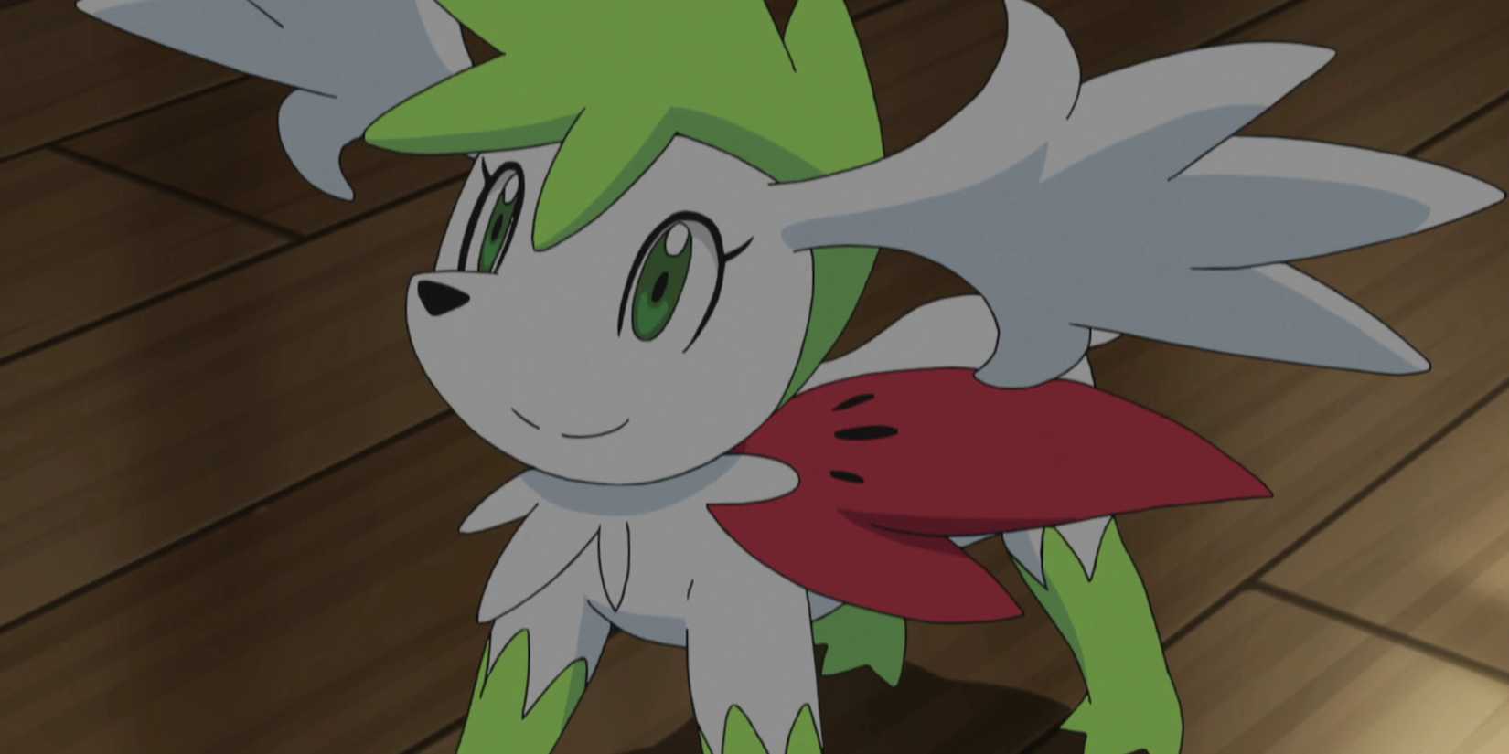 Shaymin smiling and looking up