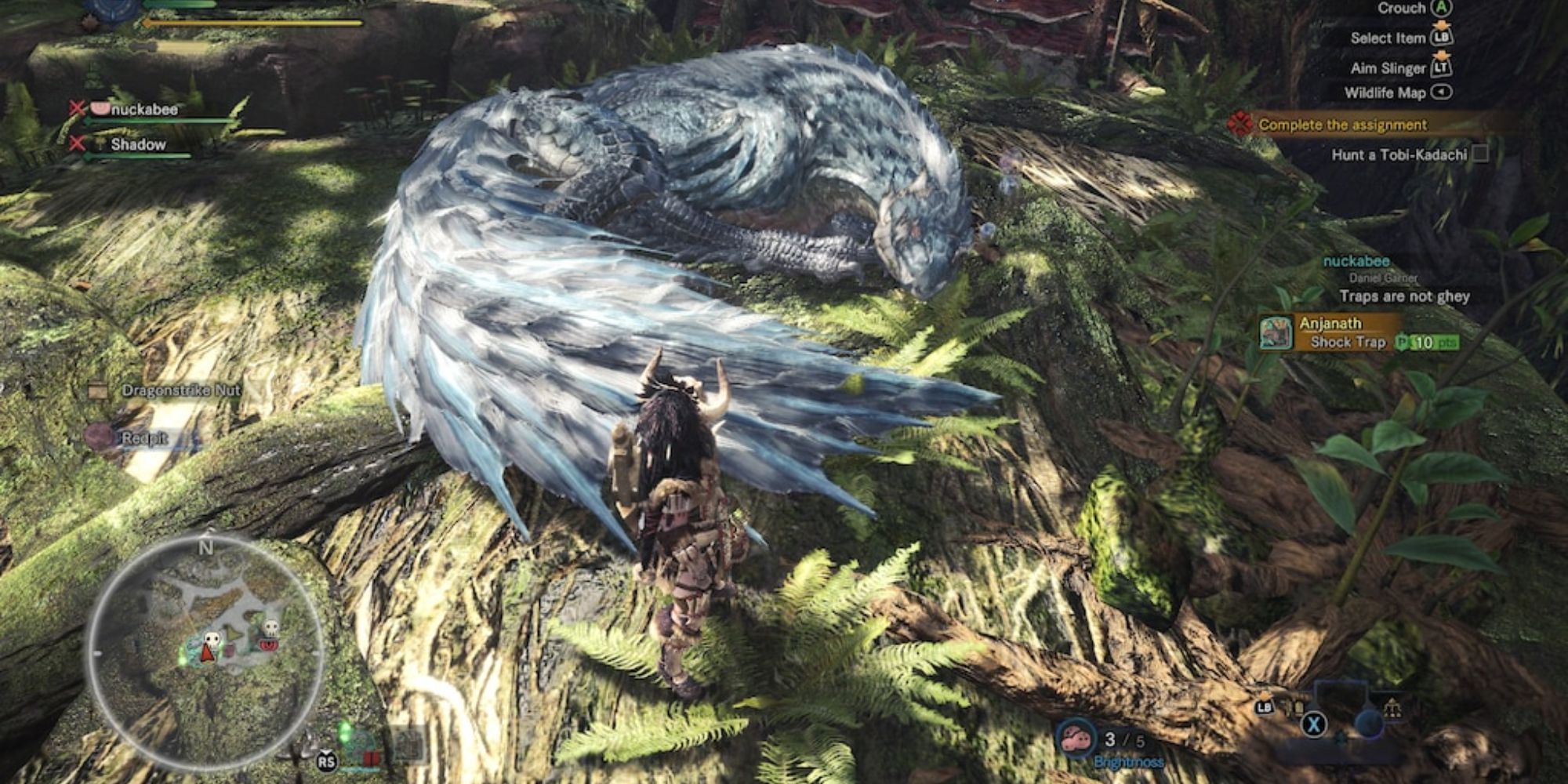 A hunter watching Tobi-Kadachi sleep in a tree