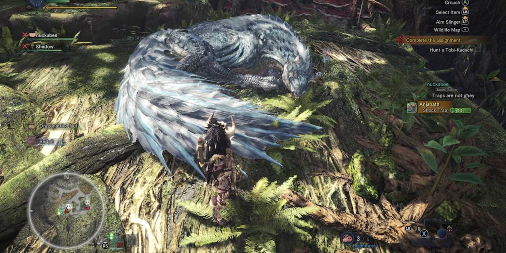 A hunter watching Tobi-Kadachi sleep in a tree in Monster Hunter World