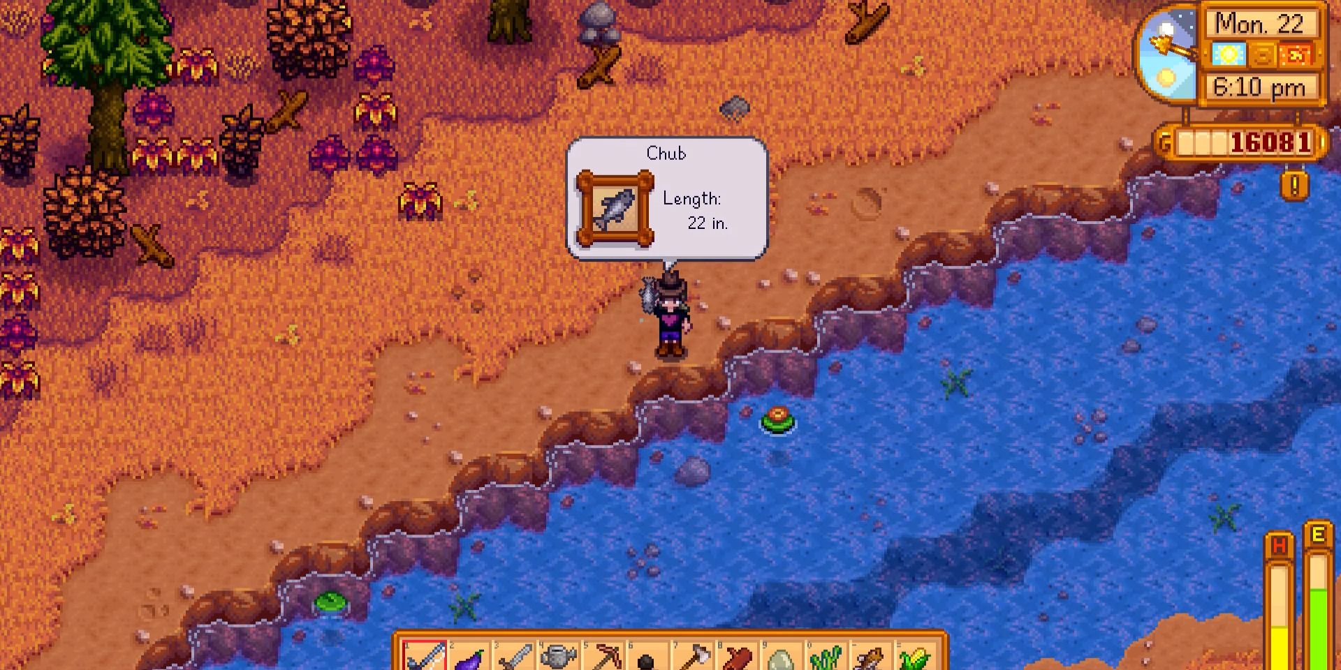 Image of a character after catching a Chub in the Cindersap Forest River in Stardew Valley