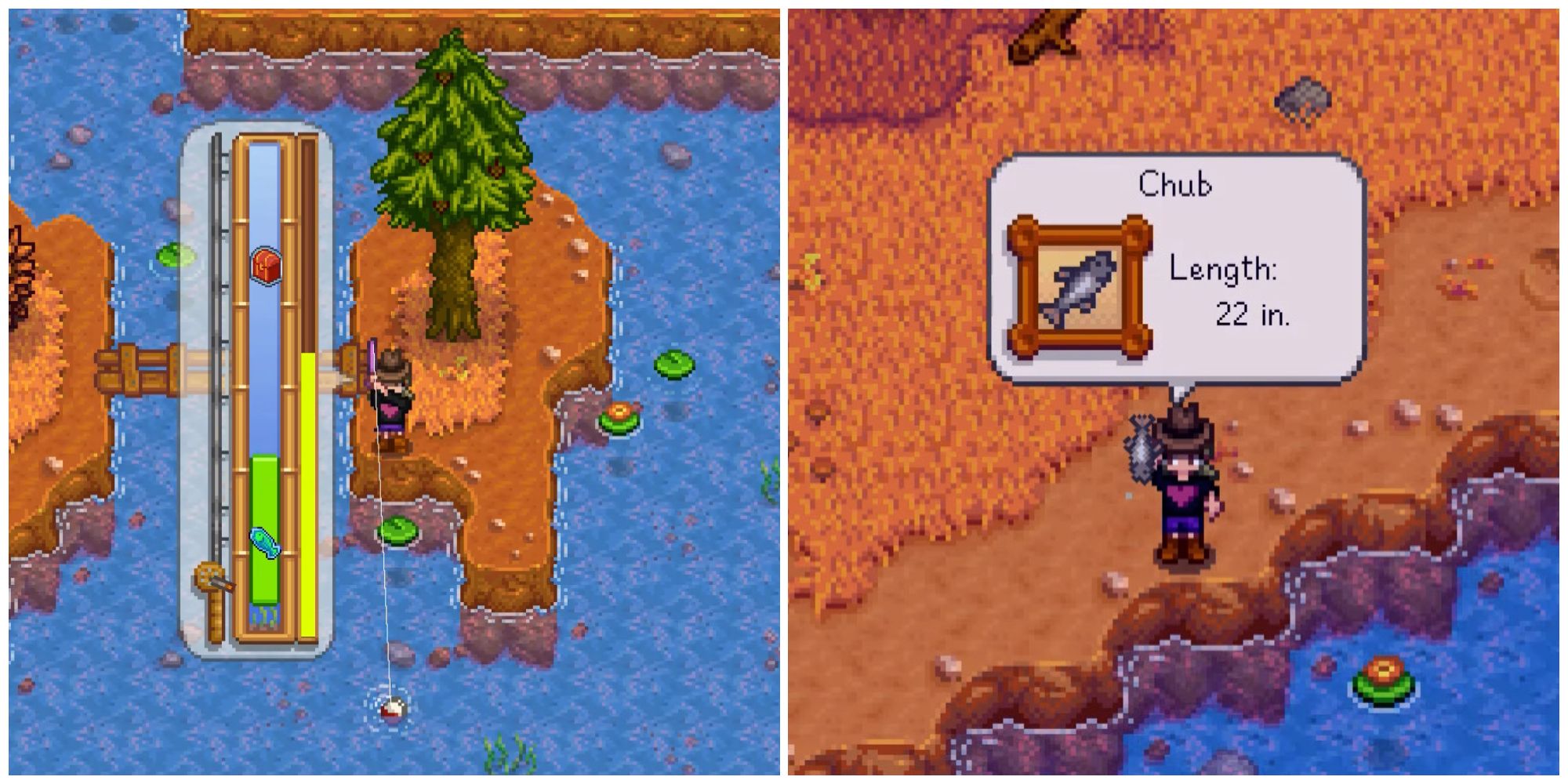 Split image of a character fishing and a character after catching a Chub in Stardew Valley