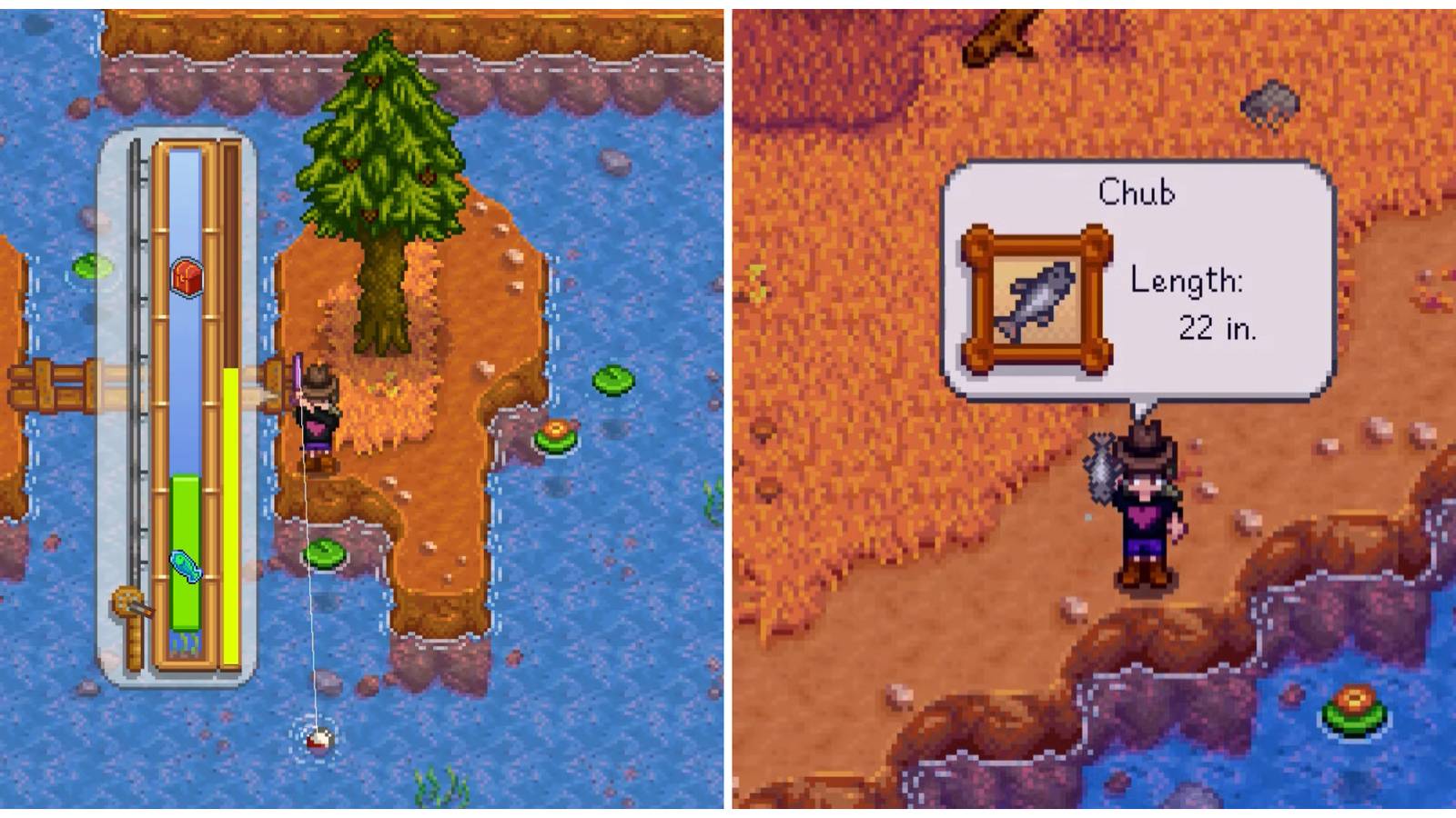 Split image of a character fishing and a character after catching a Chub in Stardew Valley