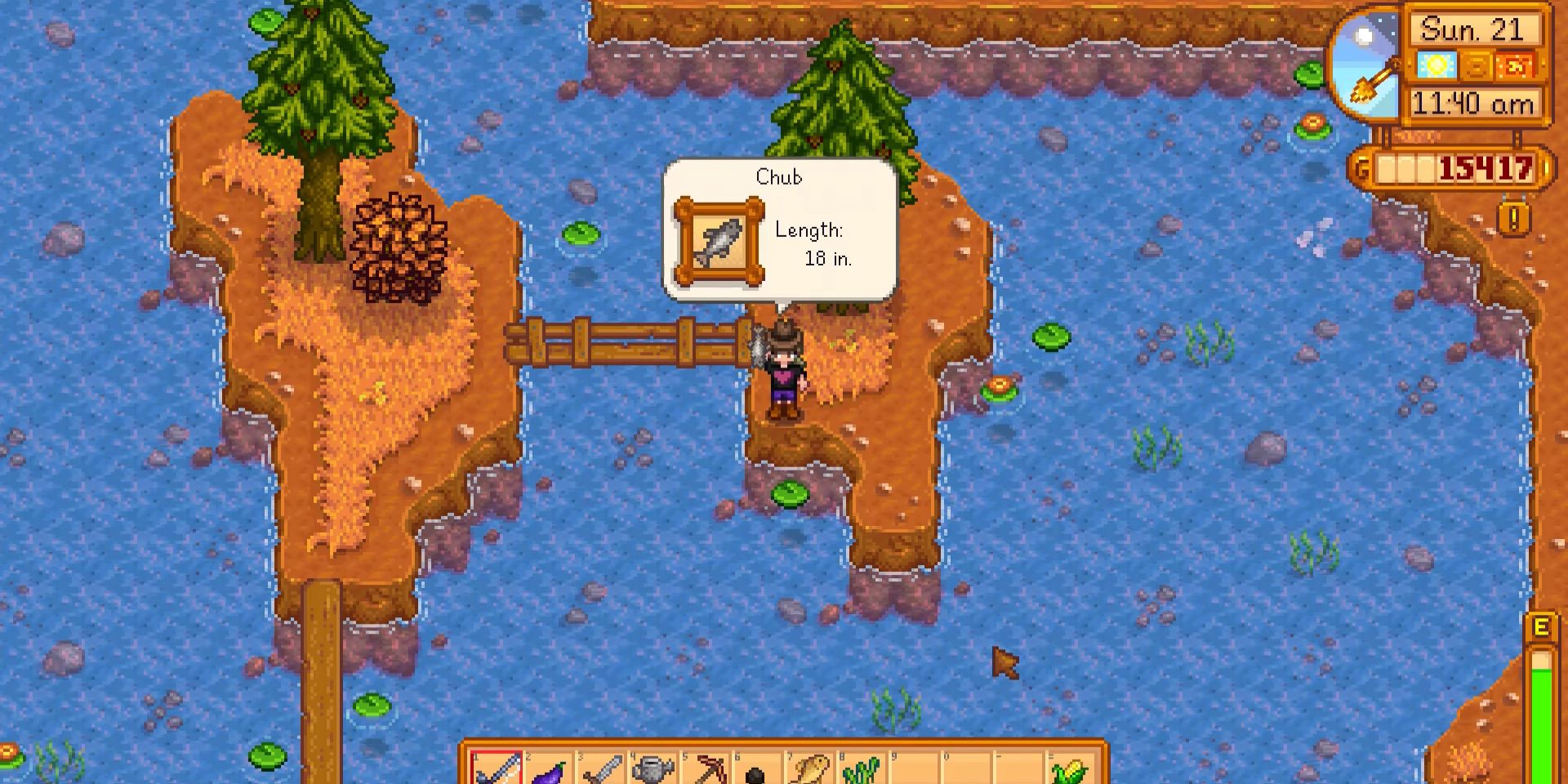 Image of a character after catching a Chub in Stardew Valley
