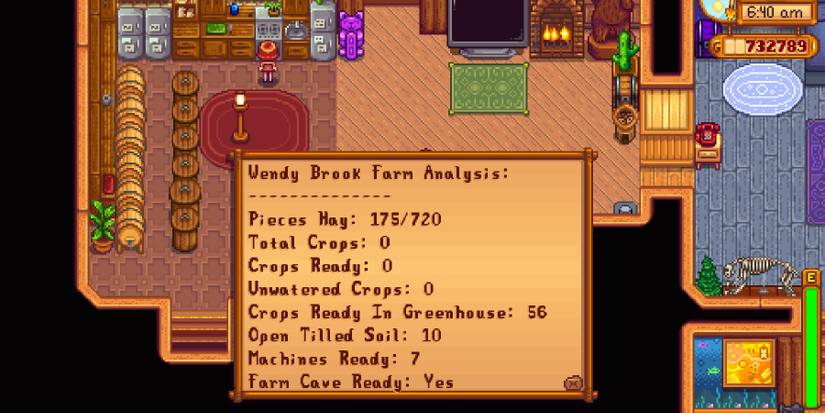 Stardew Valley Computer Readout