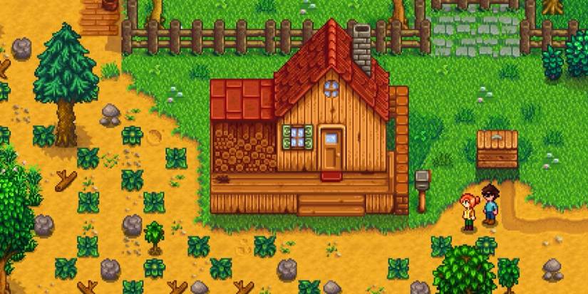 The Stardew Valley farmhouse