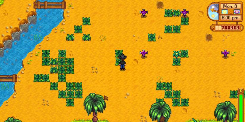 Stardew Valley Fiber Island