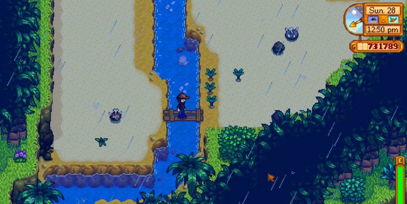 Stardew Valley Ginger Dig Site