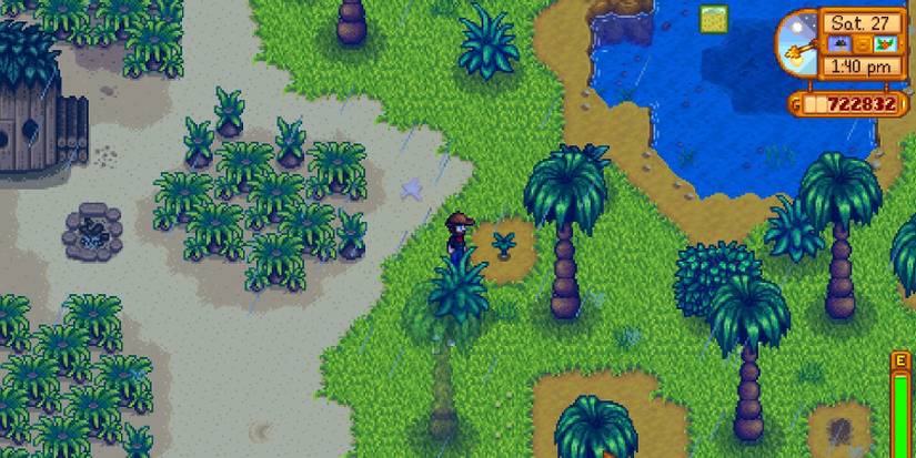 Stardew Valley: How to Find Ginger