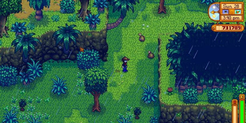 Stardew Valley: How to Find Ginger