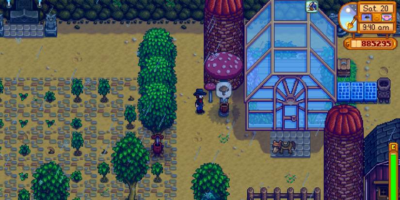 Stardew Valley Mushroom Tree Tapper