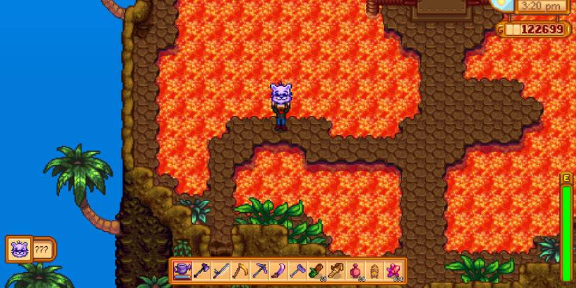 Stardew Valley Perfection Hat