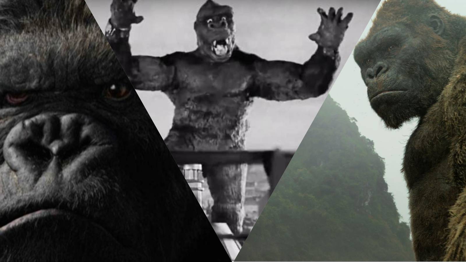 Strongest King Kongs Feature Image