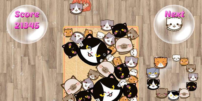 suicats suika game but with cats simple interface suikalike