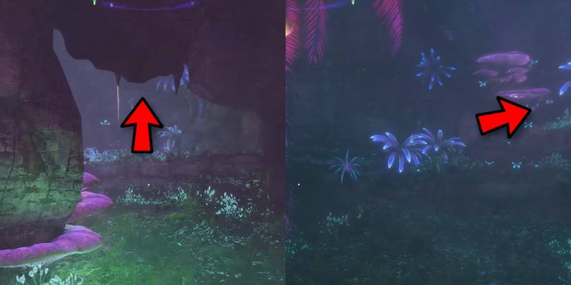 take the lift vine then turn right to find nor