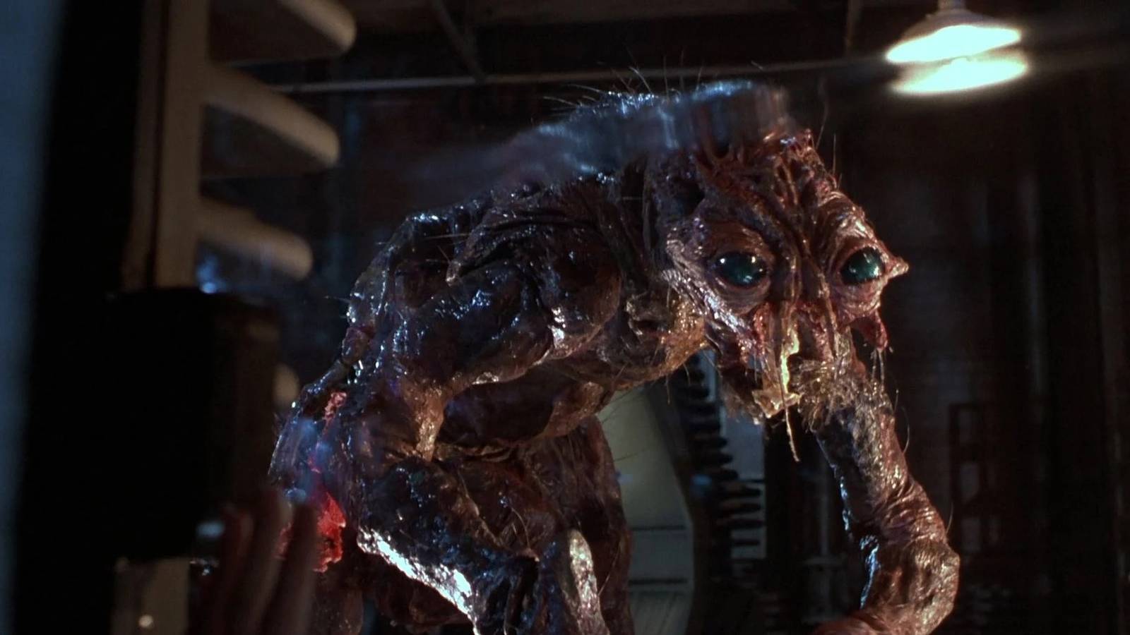 The Fly Ending Explained