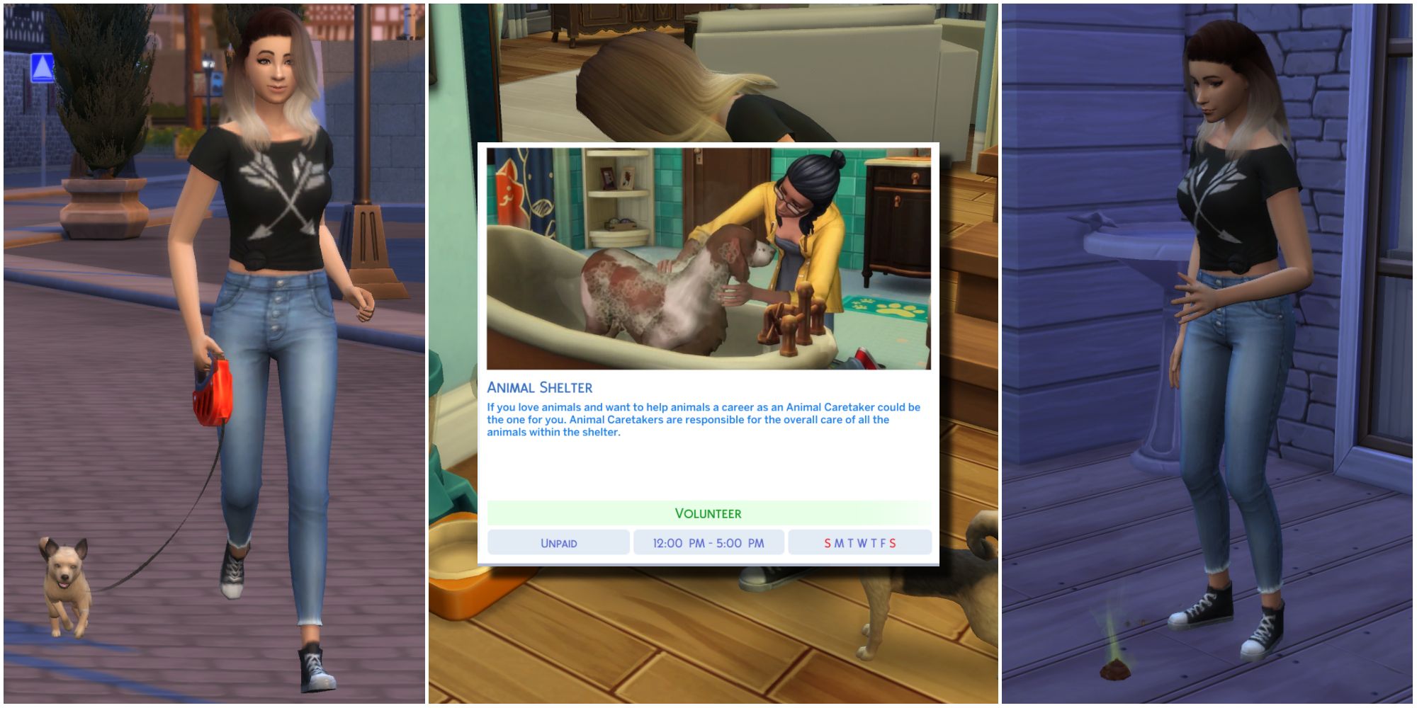 The Animal Shelter Career Mod allows Sims to make a career out of running an animal shelter and caring for animals.