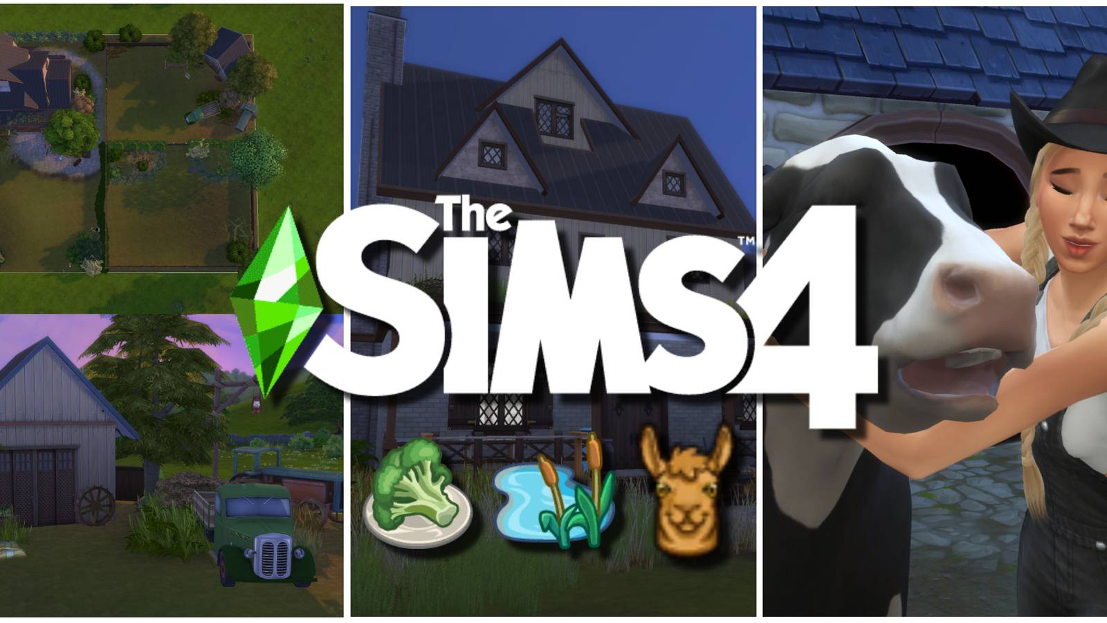 Several screenshots for a cover of the Bloomful Challenge, including a cow, a farmhouse, and a field in need of a makeover in The Sims 4.
