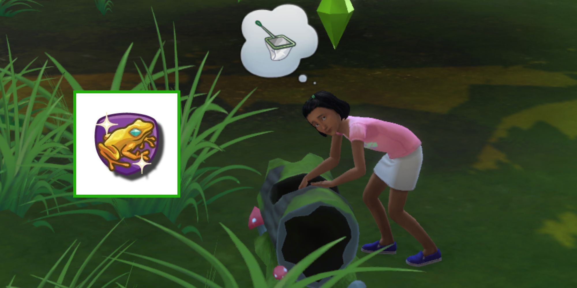 A Sim is searching for frogs to breed in The Sims 4 and a photo of the frog fanatic aspiration has been added