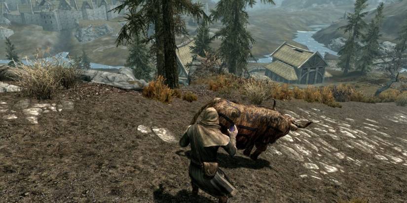  Skyrim: character in the third-person