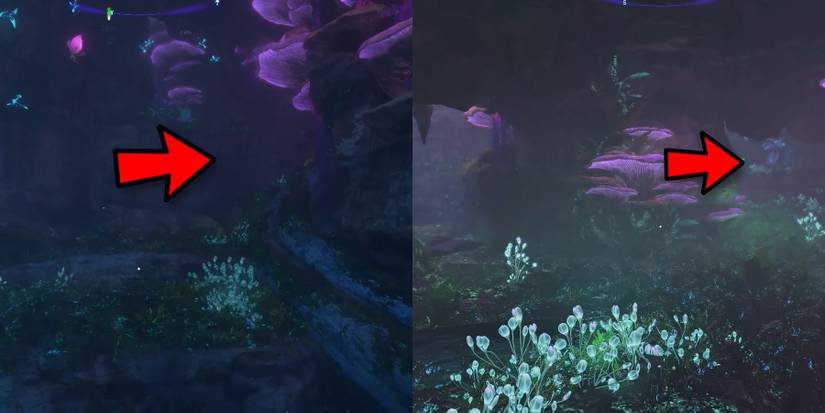 turn right into a pink cave then take the right route to find lift vine