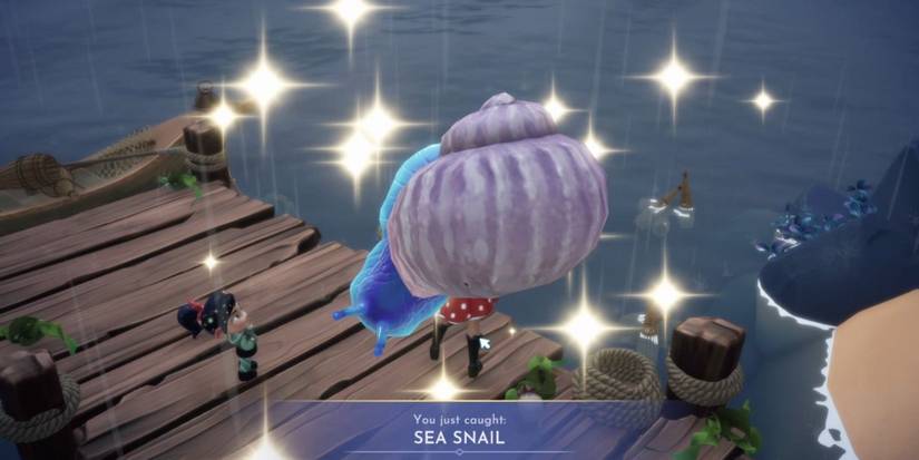 catching sea snails ddv