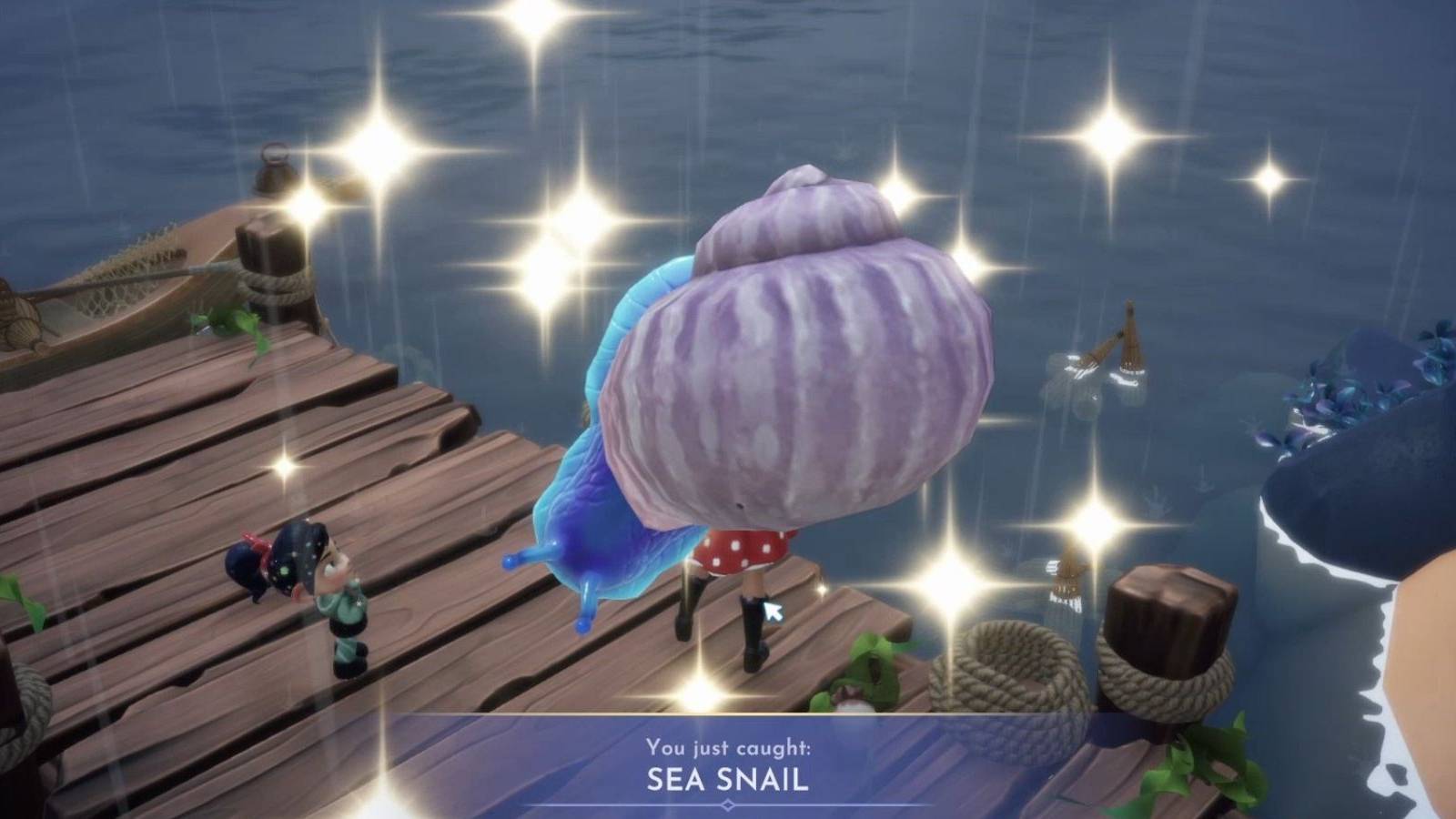 catching sea snails ddv