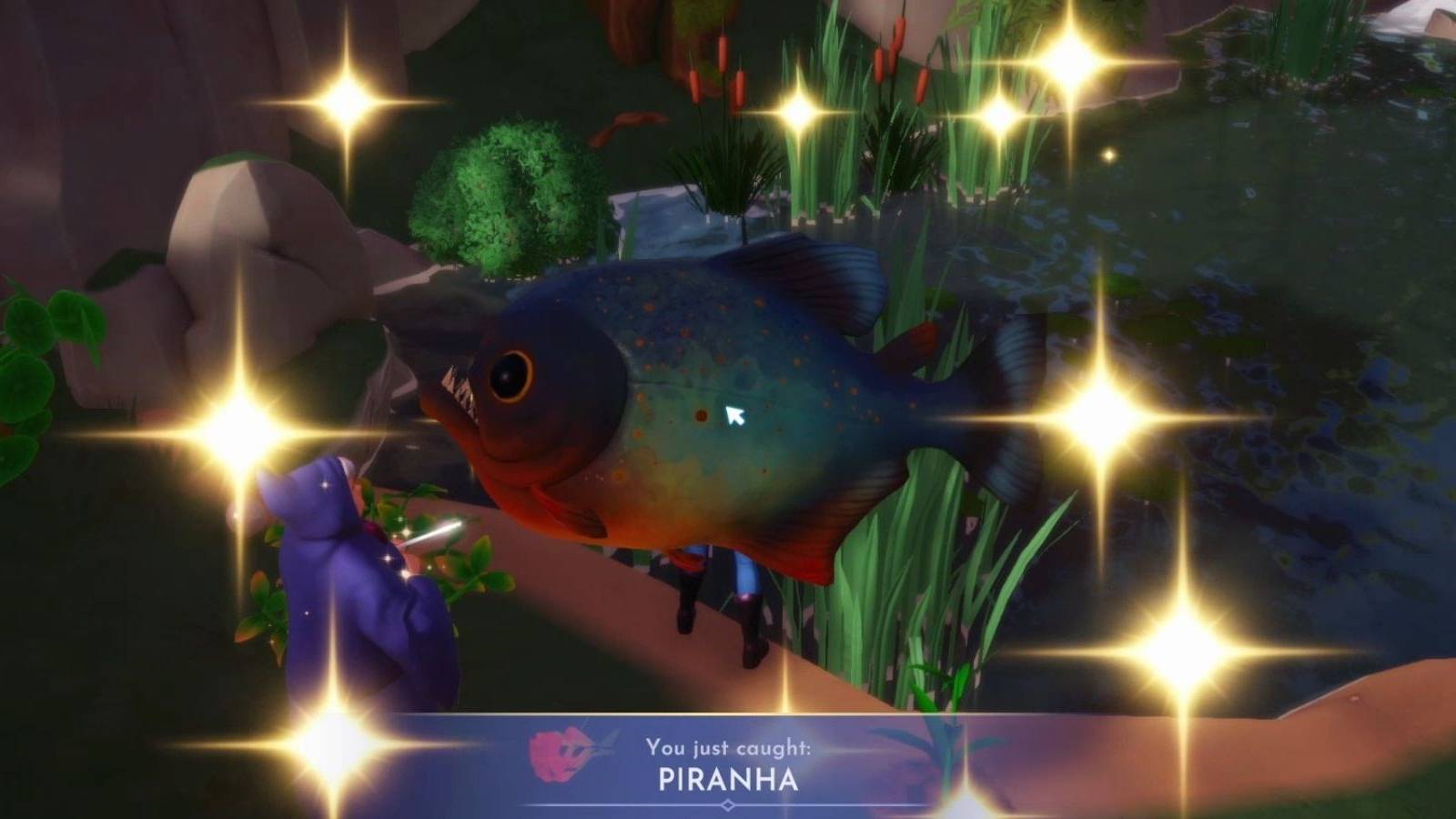 piranha location in ddv