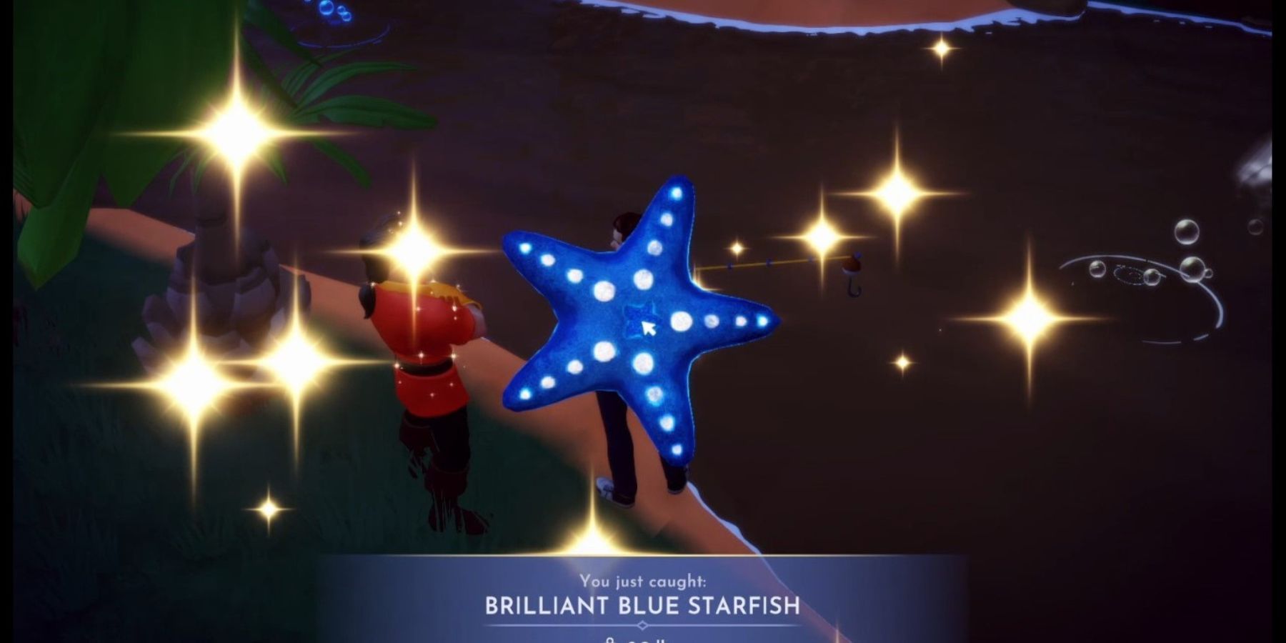 brilliant blue starfish ddv
