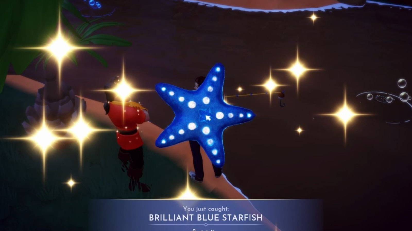 brilliant blue starfish ddv