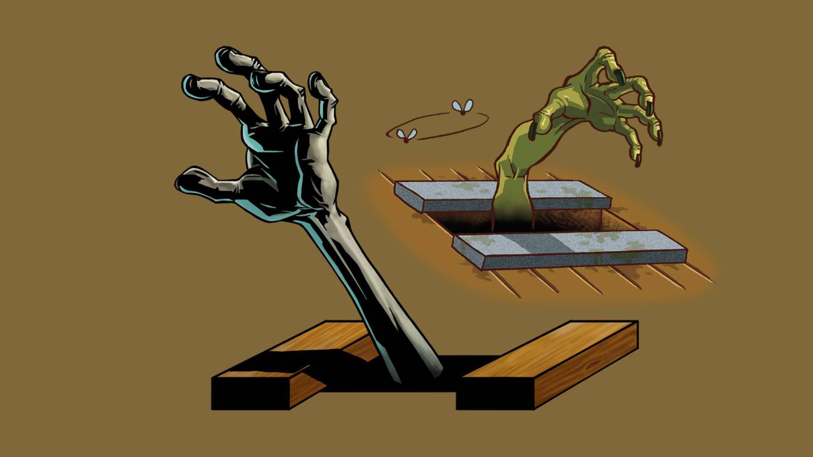 Zelda's Toilet Hands