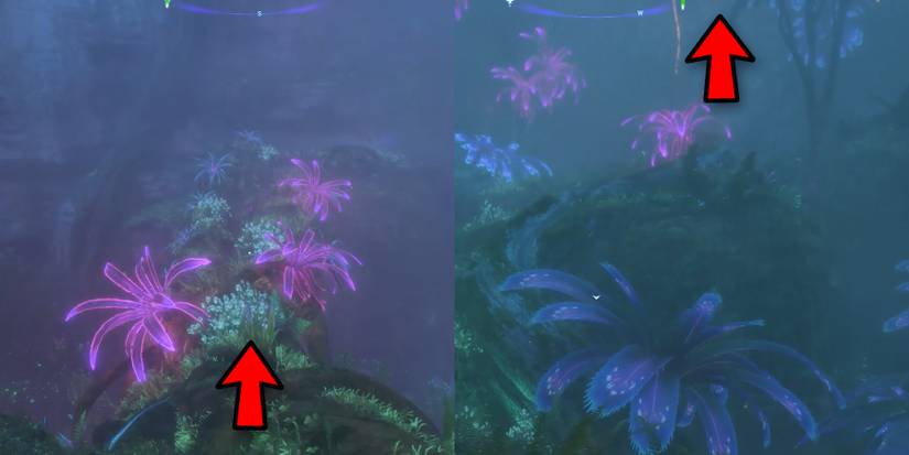 walk on the log and take the lift vine upward