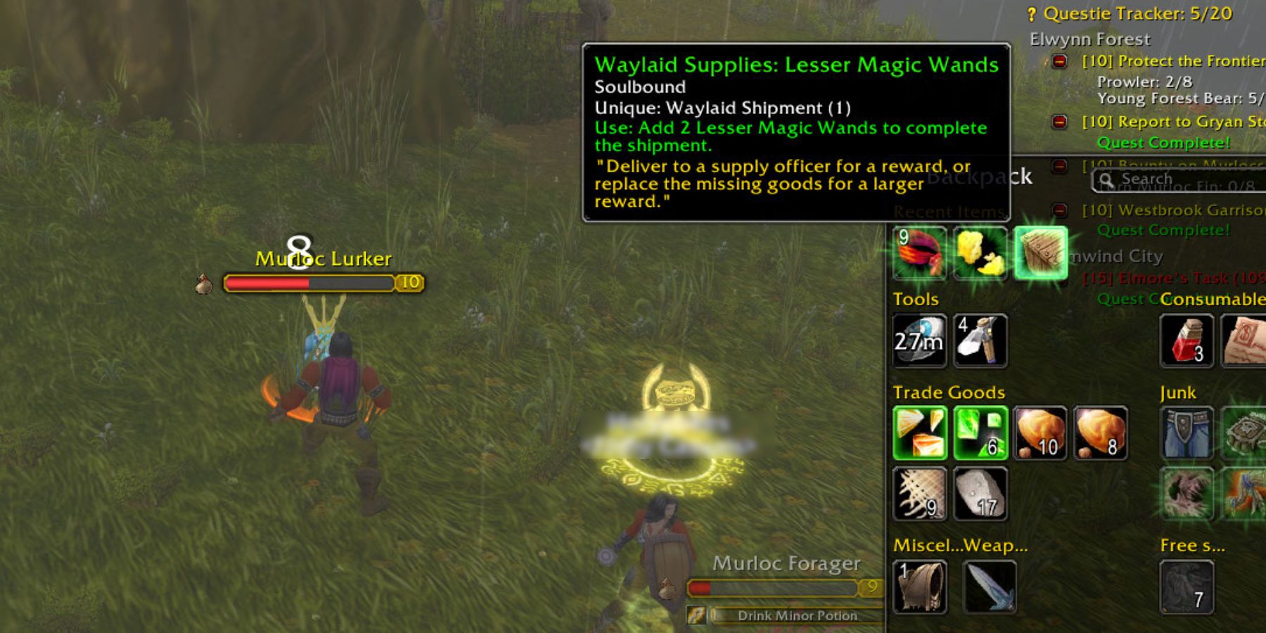 World of Warcraft Season of Discovery WoW SoD Paladin Beacon of Light Rune Guide Waylaid Supplies Rep-1