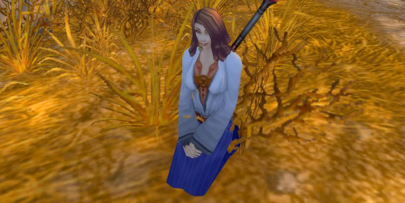 WoW SoD Best DPS Tank Healer Classes Priest