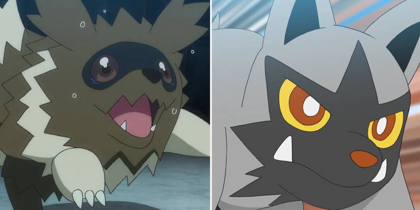 Zigzagoon and Poochyena-1