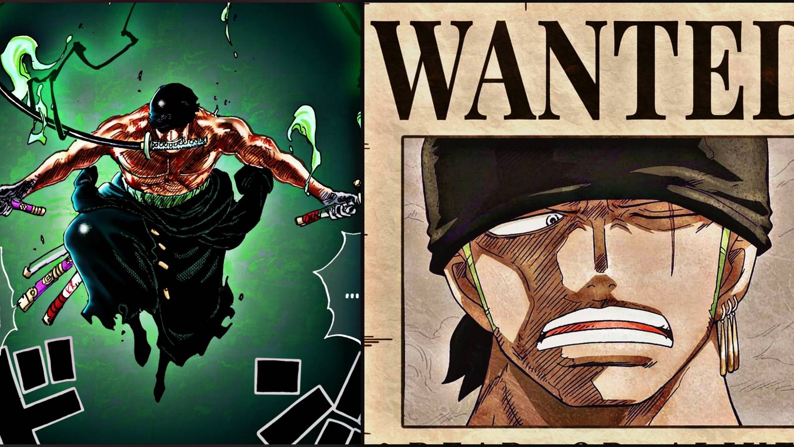 Zoro's new Bounty one piece