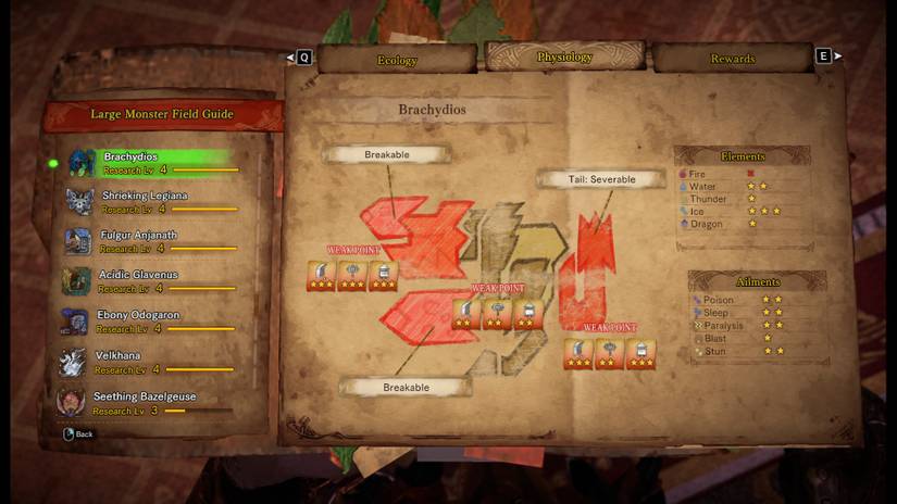 Physiology of a Brachydios in Monster Hunter World