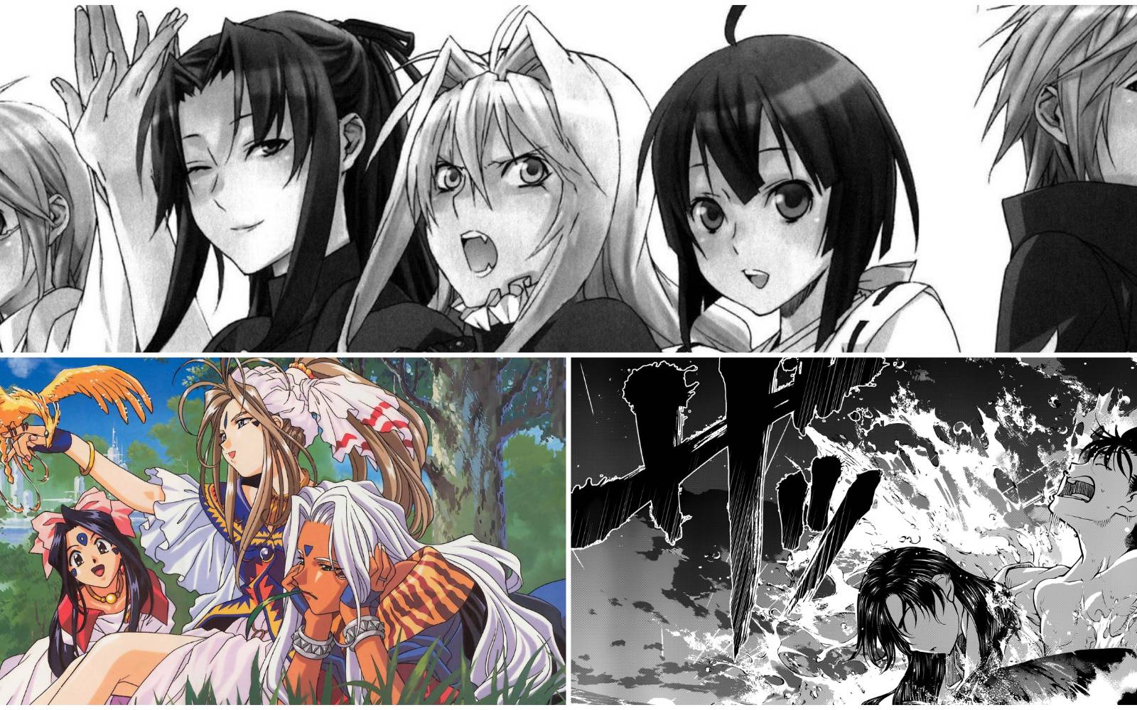 co0229855 (Sorted by Popularity Ascending), image size:1600x1000