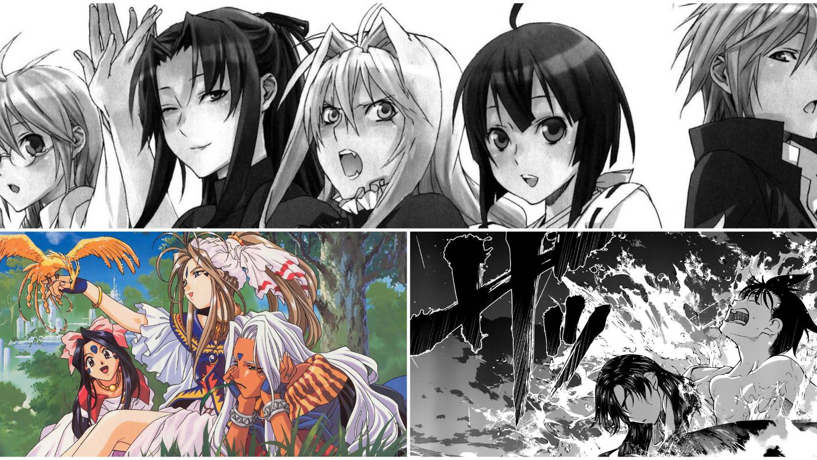 Seinen Harem Manga- Sekirei Oh My Goddess Umi no Misaki