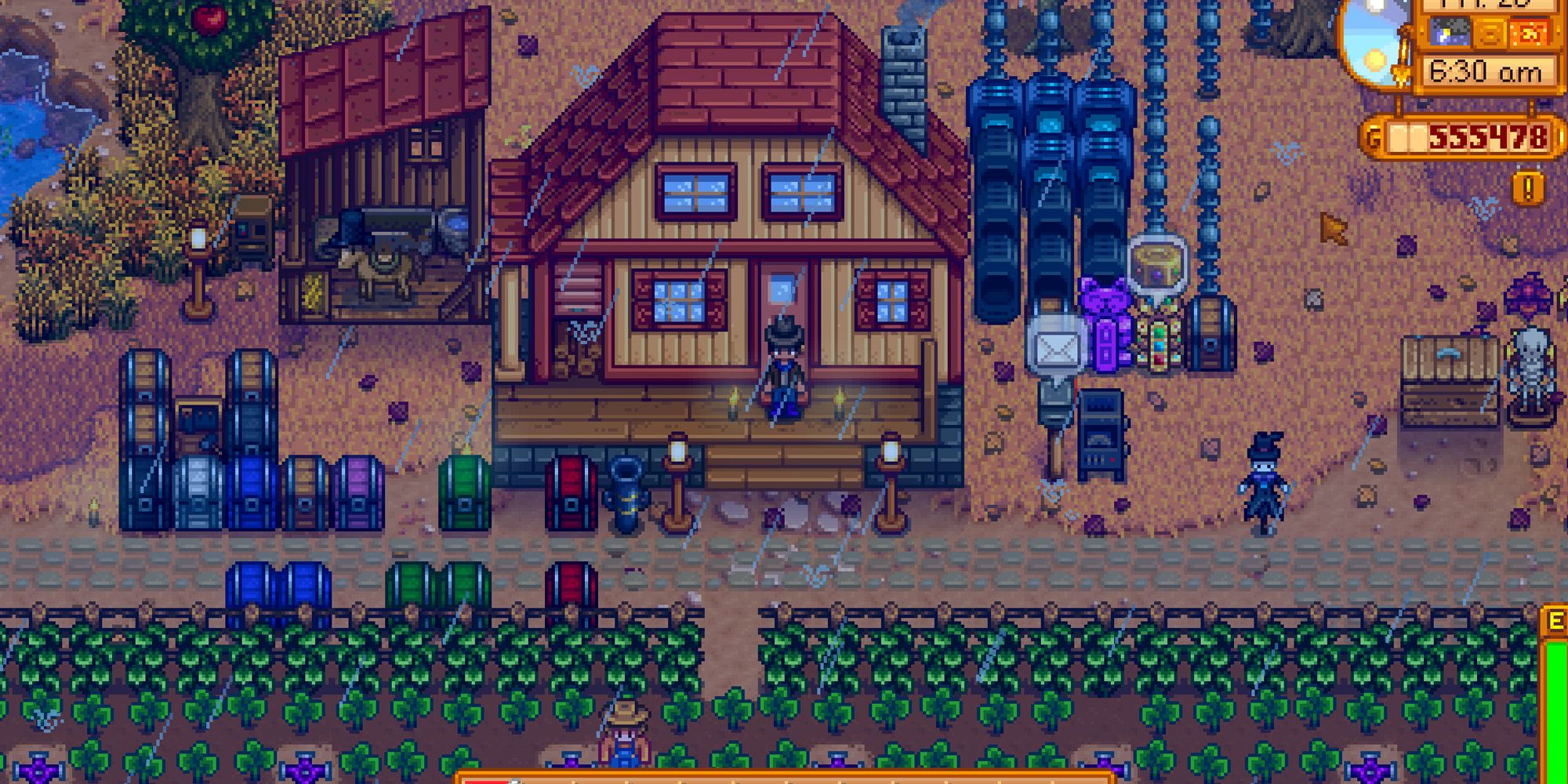 Stardew Valley