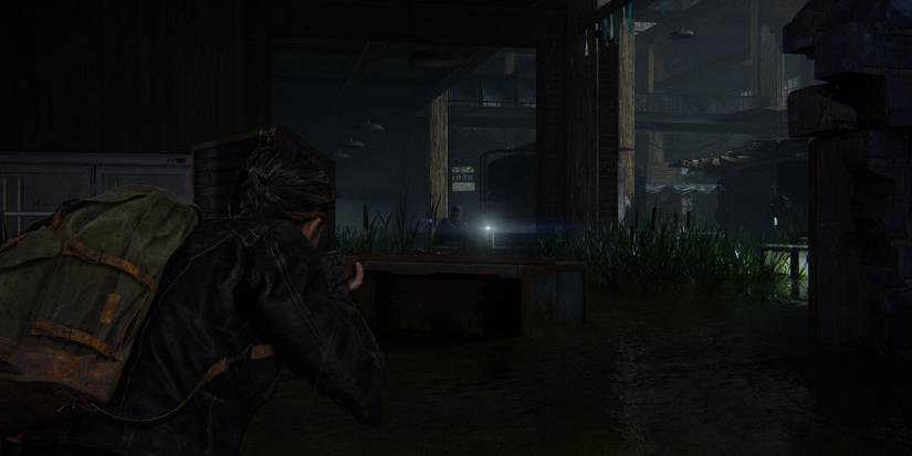 abby fighting wlf at the brewery