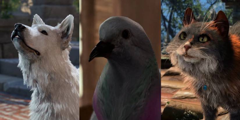 sparky, commander lightfeather, and tara in baldur's gate 3