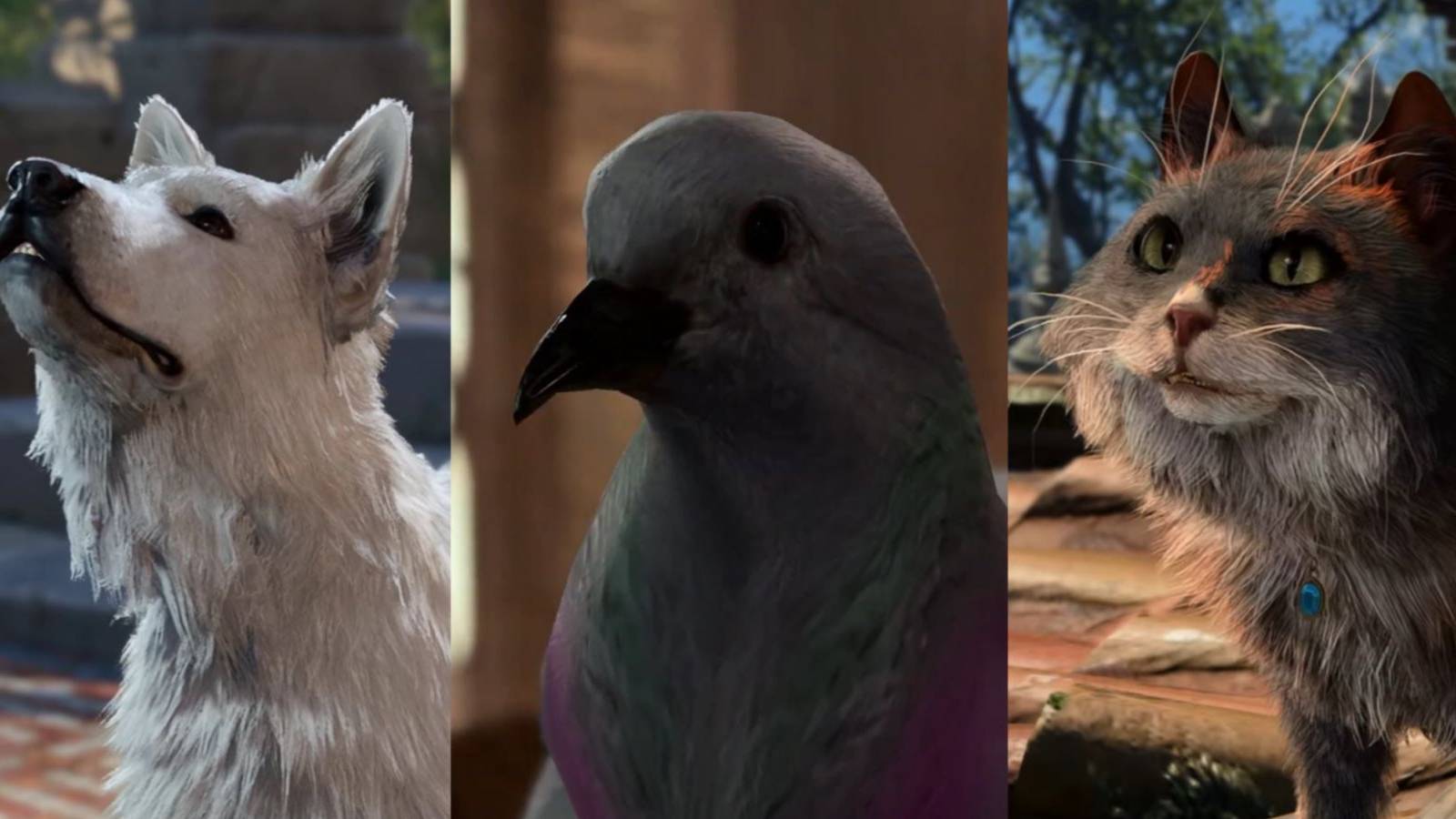 sparky, commander lightfeather, and tara in baldur's gate 3