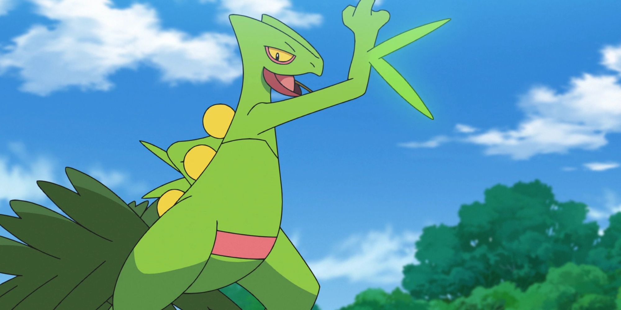 Ash's Sceptile In The Pokemon Anime