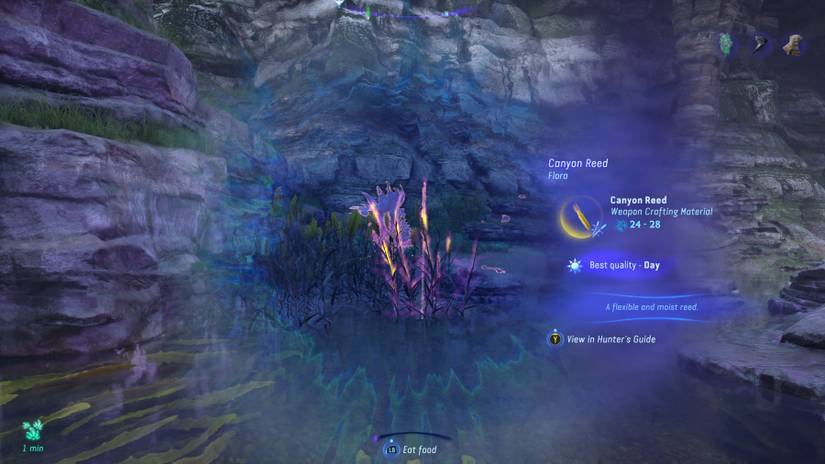 avatar frontiers of pandora canyon reed exquisite location