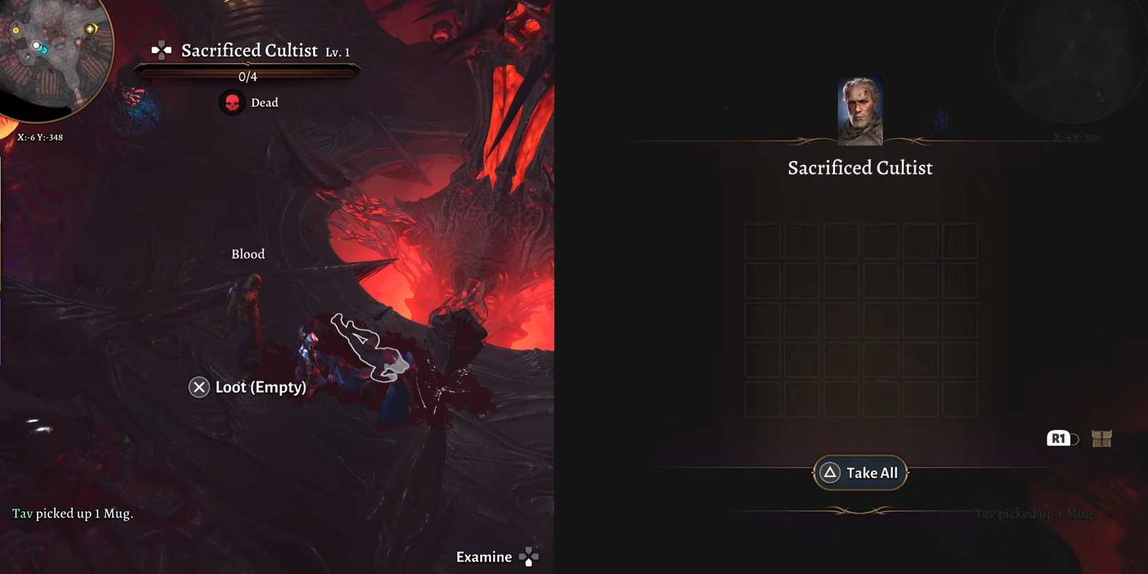 baldur's gate 3 combat and looting in splitscreen couch coop