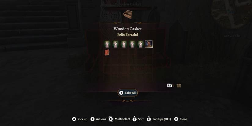 baldurs-gate-3-graveyard-felix