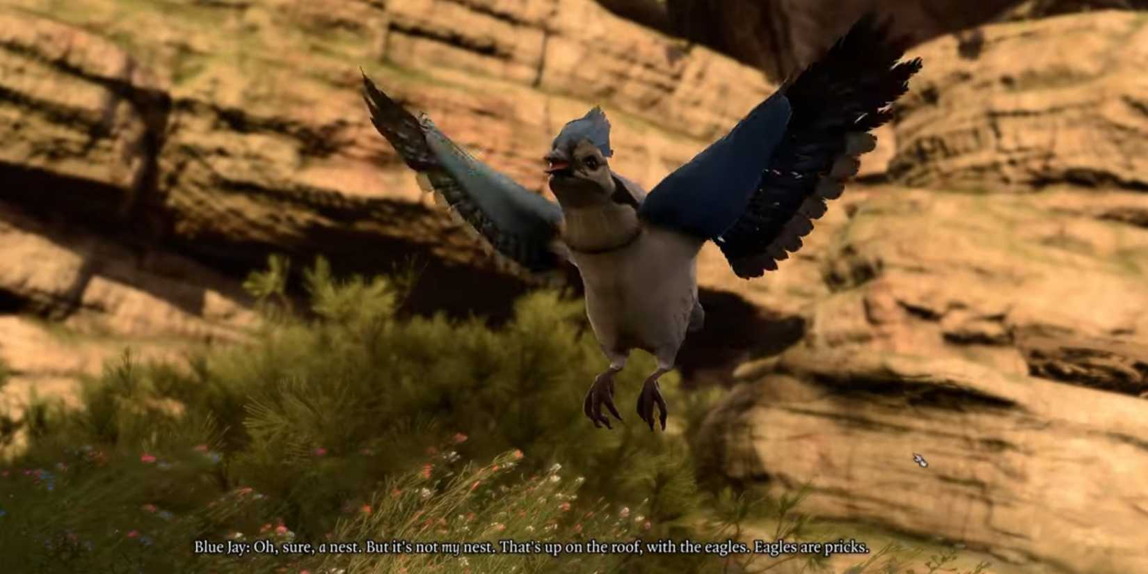 Baldurs-Gate-3-Mountain-Pass-Blue-Jay