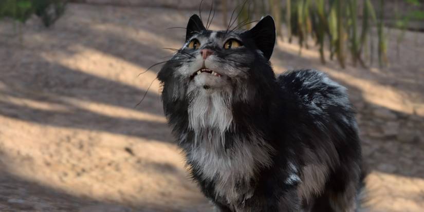 barsik baldur's gate 3