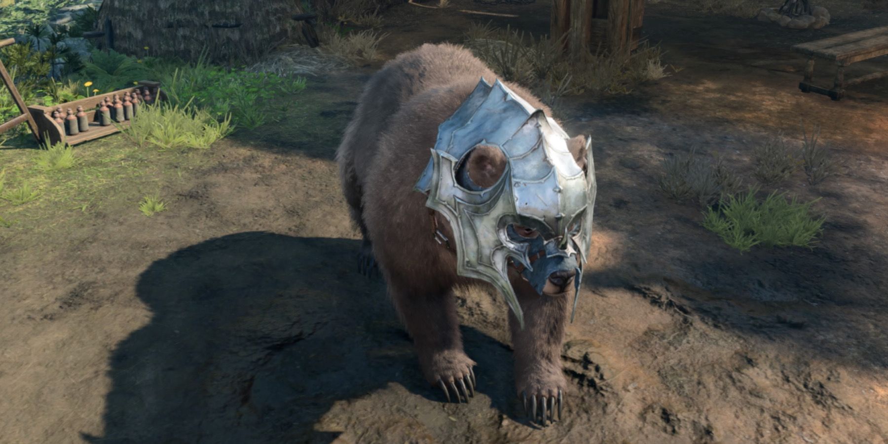 bear companion bg3